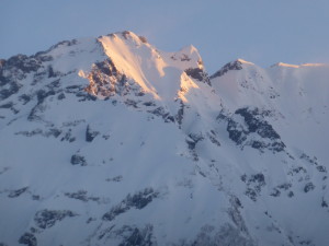 モルゲンローテかな？