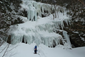 ”Ｚ”をリードするＹ澤さん！