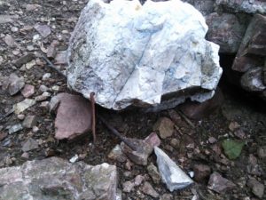 13413677_740915466050835_2967720211875649480_n