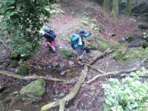 13419020_740915489384166_2718407211200960352_n