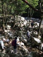 みんなで目印を探しながら何度も徒渉します。後ろから見ていても新人さんがキャッキャしていてカワイイです。