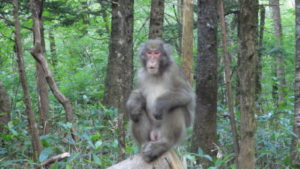 アプローチの途中、S藤さんに会う