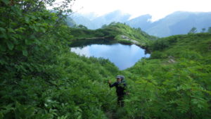 奥又白池。ここまでが暑く遠かった。