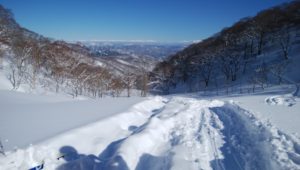 ５０センチ以上は積もっています。最高！